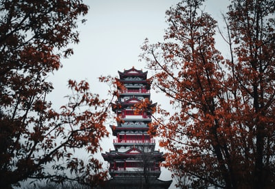 Red and black pagoda temple
